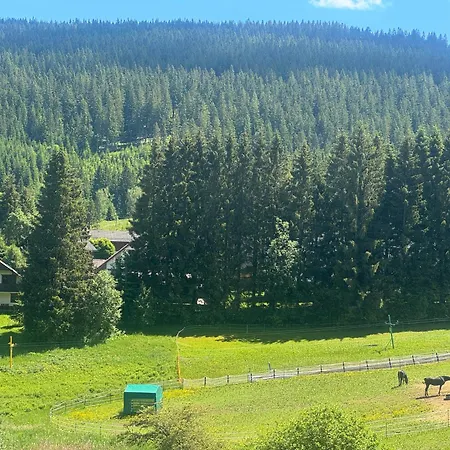 Aparthotel Slniecko 3*